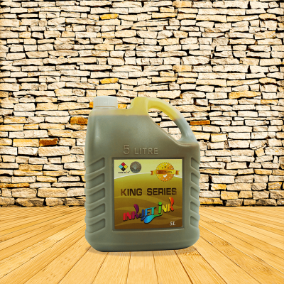 Konica inkwin King Plus